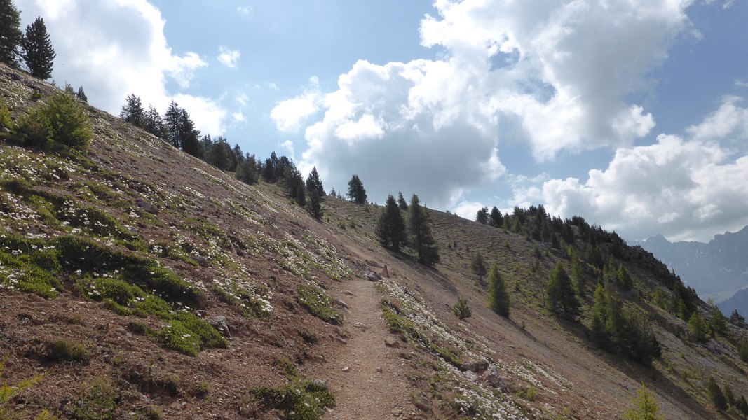 Sentier Montée : Pourcentage idéal ...