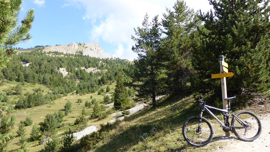 Sentier Montée : Jonction avec le sentier du Col de Bramousse