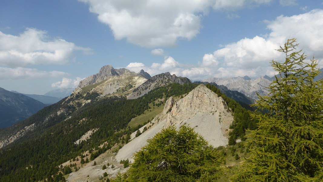 #7 Sentier Montée : Panorama Sentier Montée : Panorama