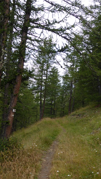 #2 Sentier Balcon : Il n Sentier Balcon : Il n'y a qu'à suivre le marquage