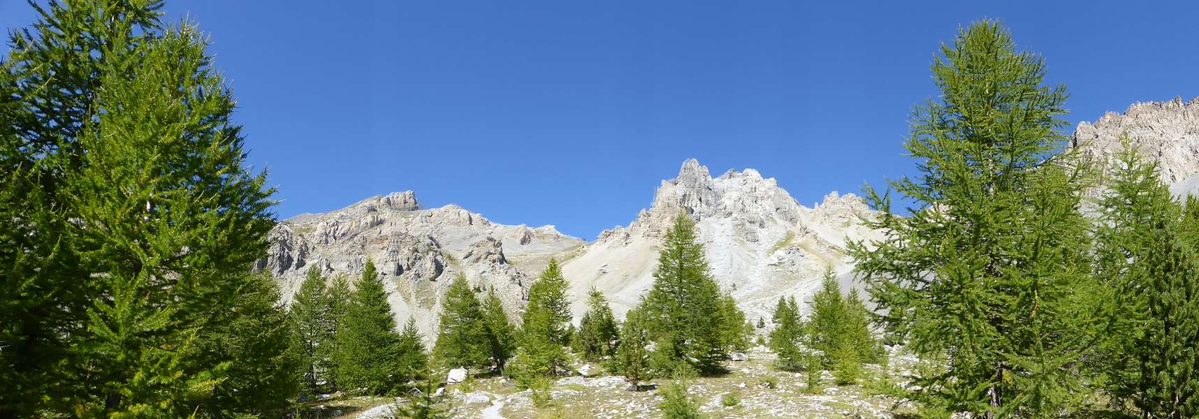 #28 Sentier Descente : Dernier regard sur cette magnifique descente Sentier Descente : Dernier regard sur cette magnifique descente
