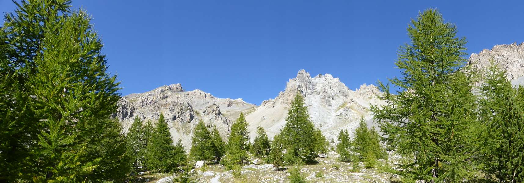 Sentier Descente : Dernier regard sur cette magnifique descente