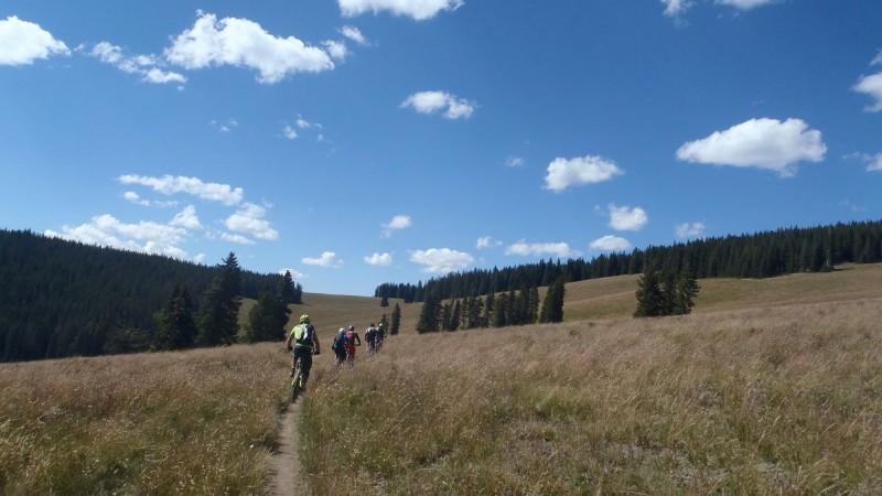 collu : petite remontée avant d'attaquer Doctor Park trail (only VTT)