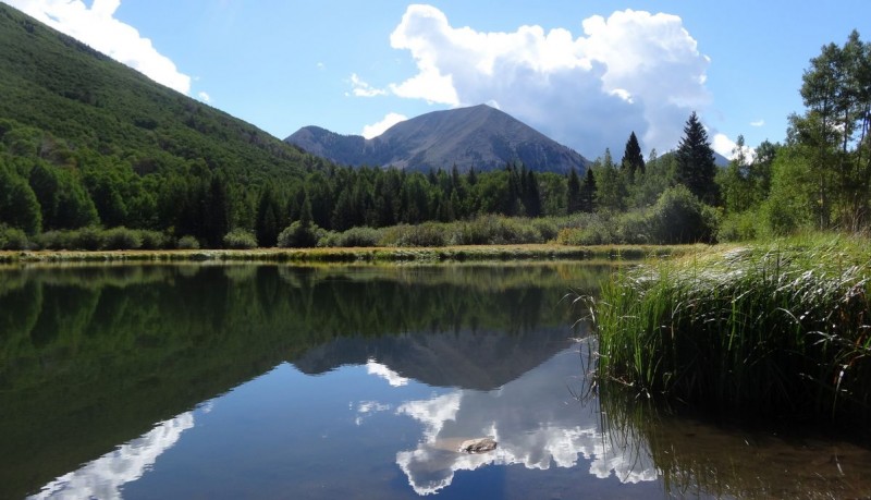 Lake Warner : coin paisible