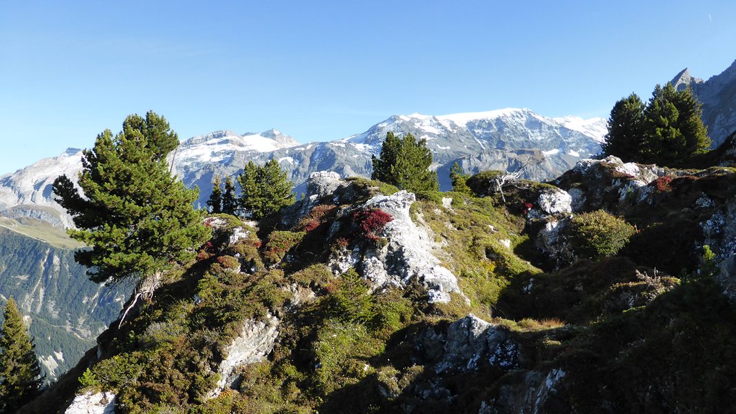 #28 Crête du Mont Charvet : Juste beau ... Crête du Mont Charvet : Juste beau ...