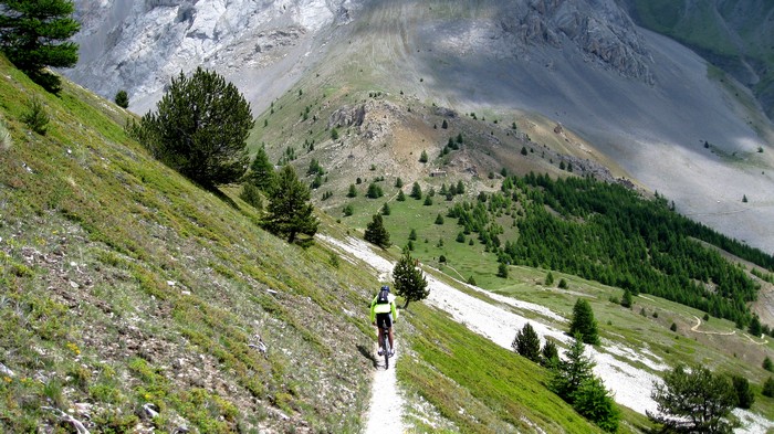 #11 Sentier propre Sentier propre