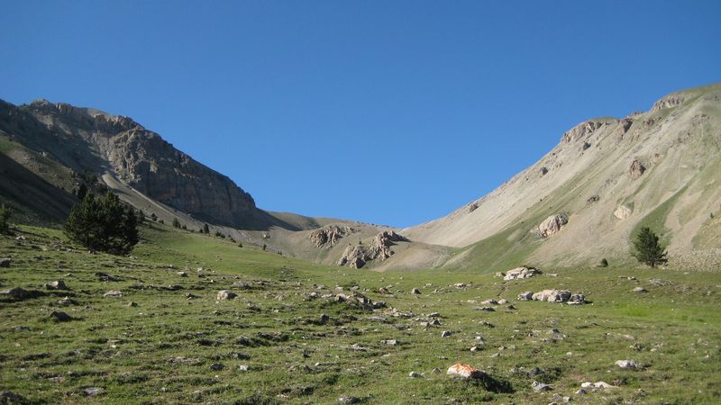 #1 Collet du Peyron : Prairie de marmottes Collet du Peyron : Prairie de marmottes