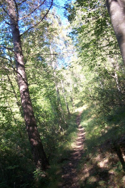 #2 Sentier : La végétation est par moments dense, mais cela passe bien. Sentier : La végétation est par moments dense, mais cela passe bien.
