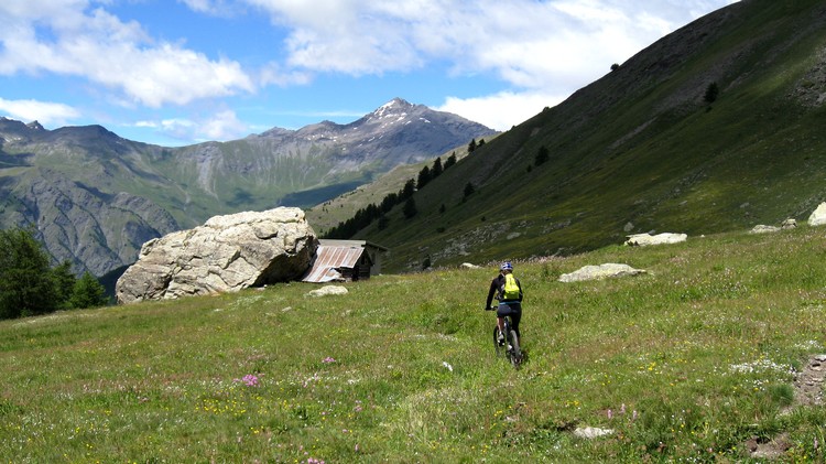 #14 Bergerie sous Roche : Y Bergerie sous Roche : Y'a de quoi nourrir des troupeaux ici