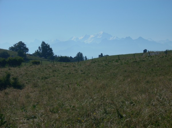 Mont-Blanc : Du vert et du blanc