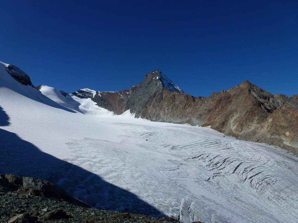 Grivola : Grivola et glacier du Trajo depuis le col Pousset