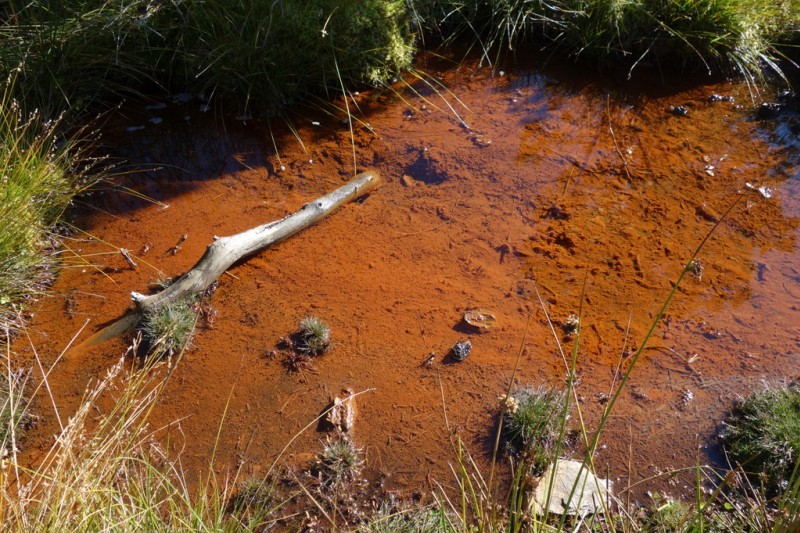 #9 Source ferrugineuse : ..encore... Source ferrugineuse : ..encore...