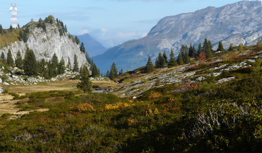 Couleurs d'automne : Sous le Collet d'Anterne