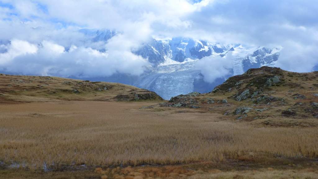 Col de Bel Lachat : Magnifique zone humide face au Mt Blanc