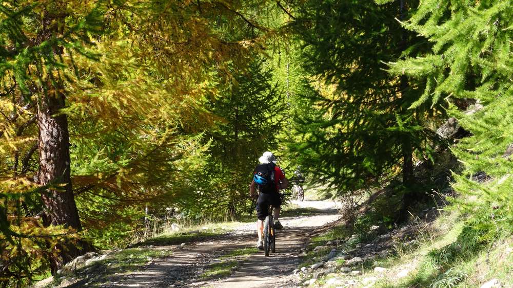 #1 Automne : Les melezes commencent à dorer Automne : Les melezes commencent à dorer