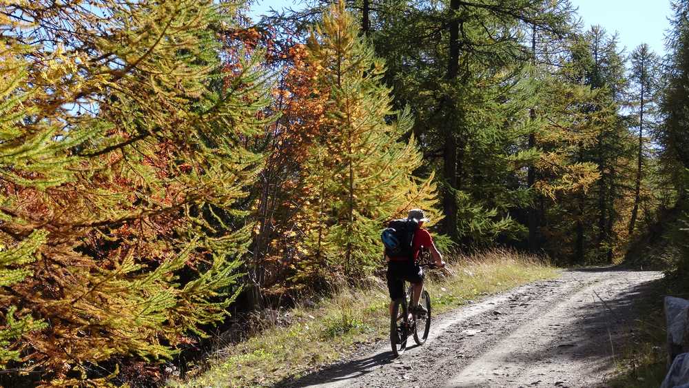 Automne bis : ça sera parfait dans 15 jours