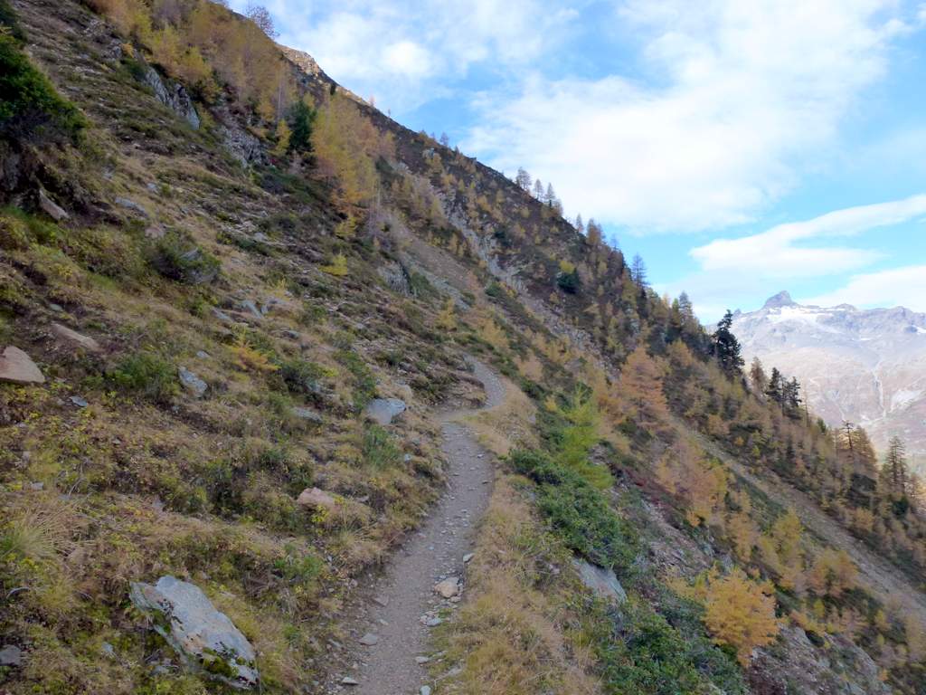 Bitschhornhütte : Enfin un sentier super bien marqué