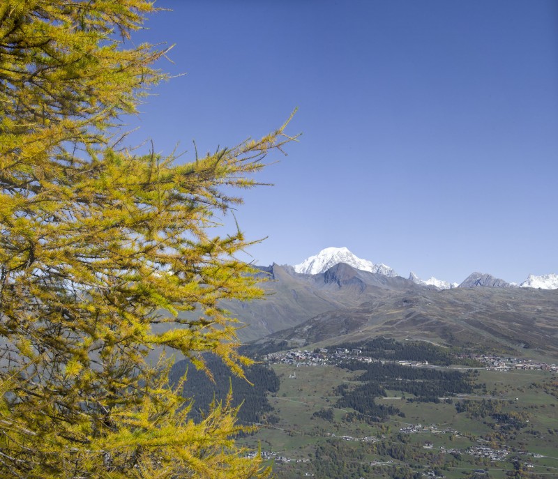 Forêt de Ronaz : Ou vue lointaine, le Mt Blanc sert de toile de fond à la montée