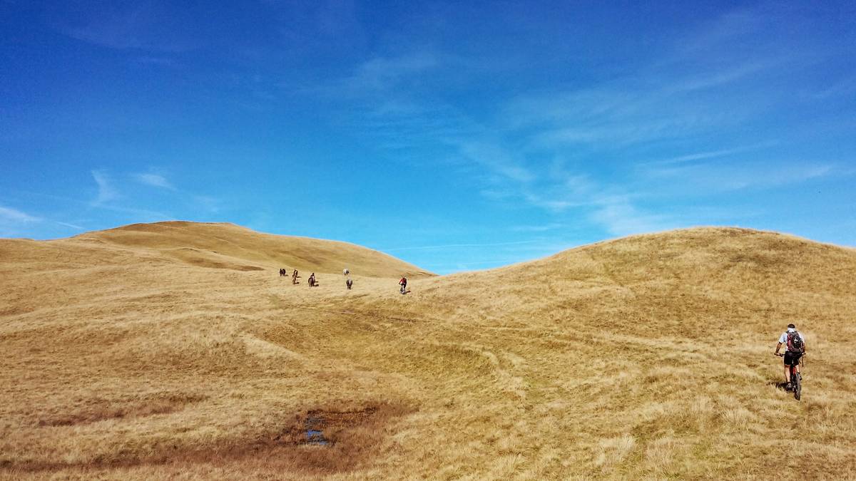 #8 steppe : grand steppe : grand