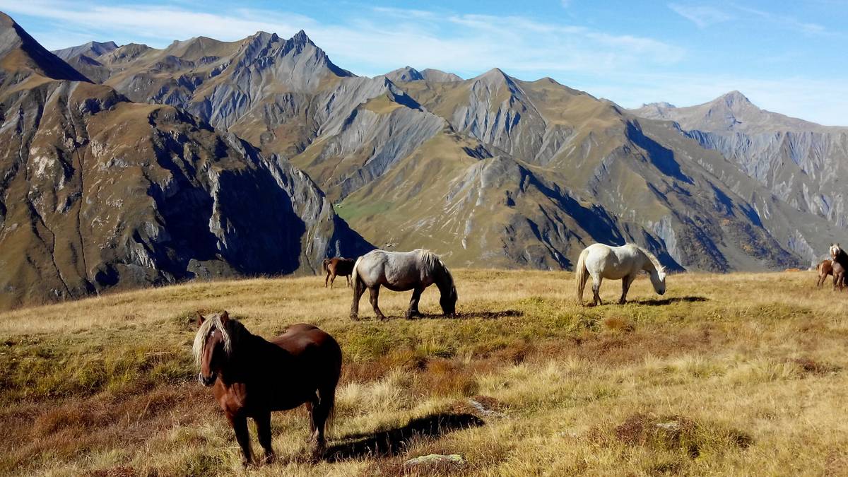 #5 nos amis : rencontre n°1 nos amis : rencontre n°1