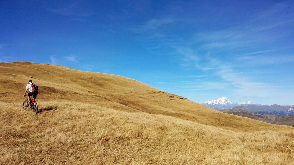 #10 steppe : loin steppe : loin