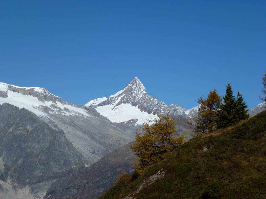 Alpes bernoises : Finsteraarhorn