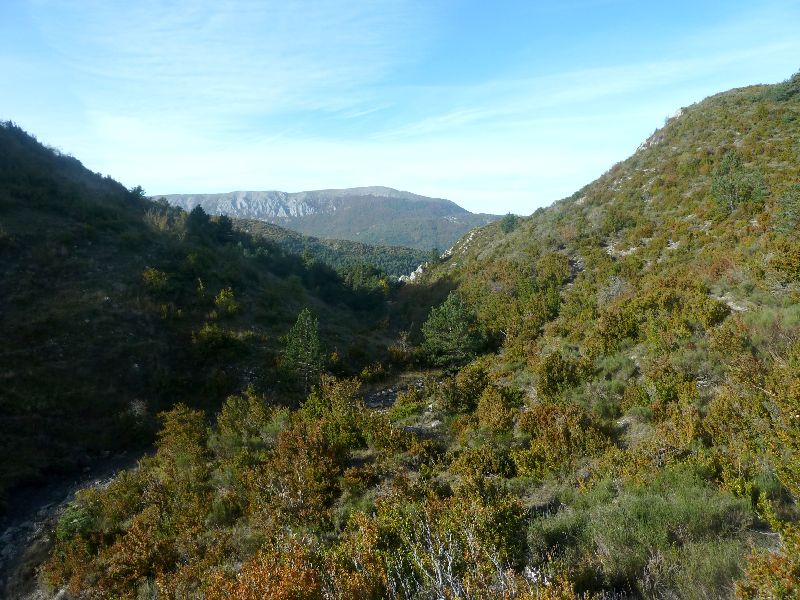 #4 MontDenier : Descente sur Majastres MontDenier : Descente sur Majastres