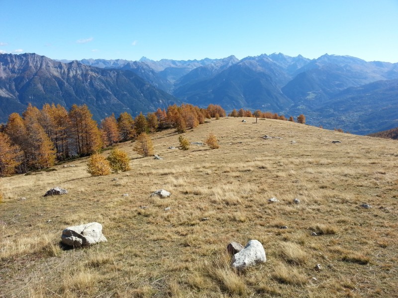 La croix de l'Alp : ciel limpide avec cette bise qui conserve au frais