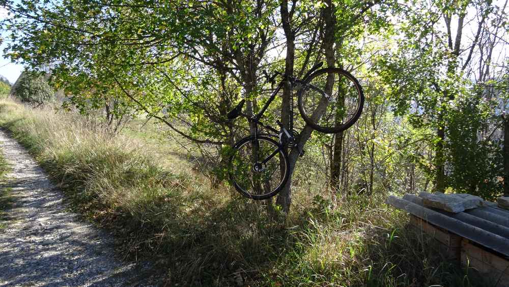 #13 Vtétier : ici, les vélos poussent dans les arbres ! Vtétier : ici, les vélos poussent dans les arbres !