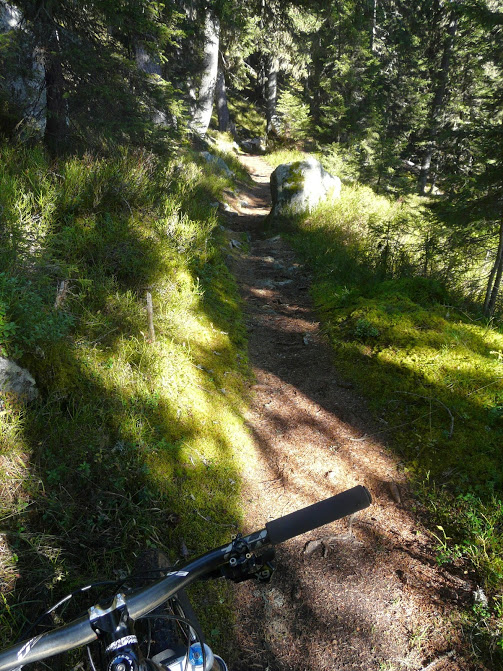 Balcon du Mont Blanc : Superbe sentier