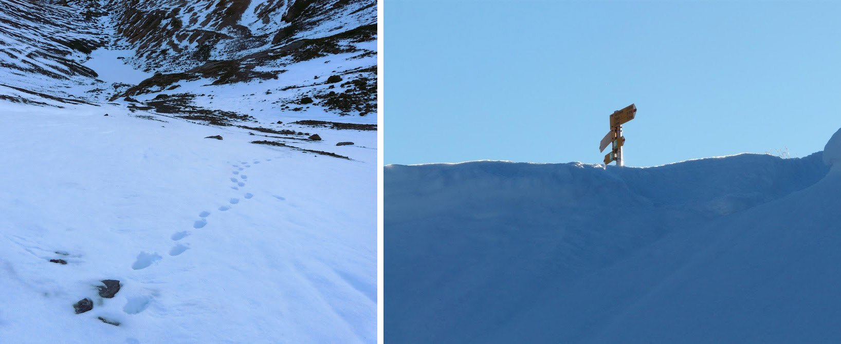 #10 Neige : suivez mes traces Neige : suivez mes traces