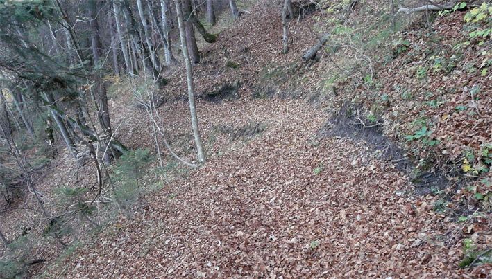 Tapis de feuille : Tout en glisse au dessus du Plateau d'Assy