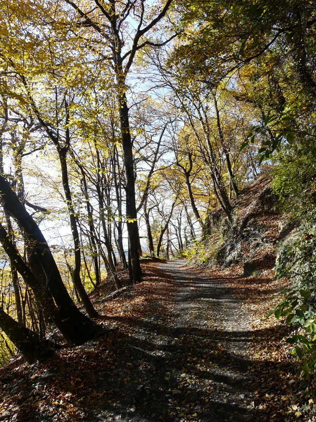 #2 Piste des Julliards : Montée efficace vers Bay Piste des Julliards : Montée efficace vers Bay