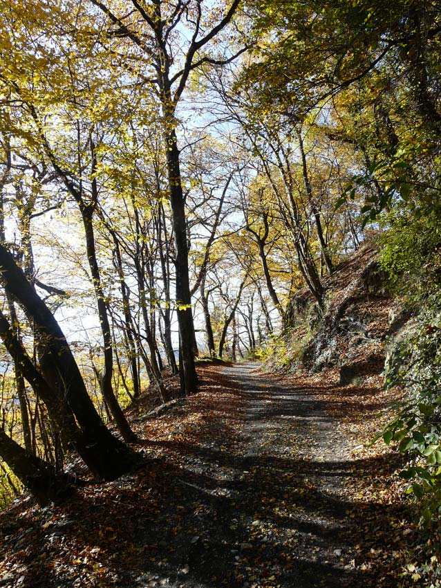 Piste des Julliards : Montée efficace vers Bay