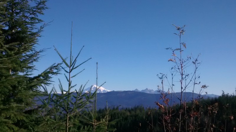 Mount Baker : loin d'ici, ça fait envie...