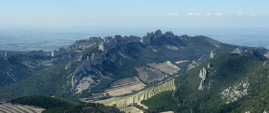 #5 Les Dentelles de Montmirail Les Dentelles de Montmirail