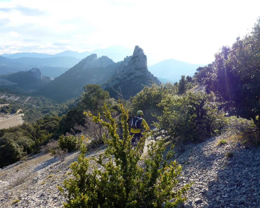 Premier sentier du jour, on est dans l'ambiance !!!