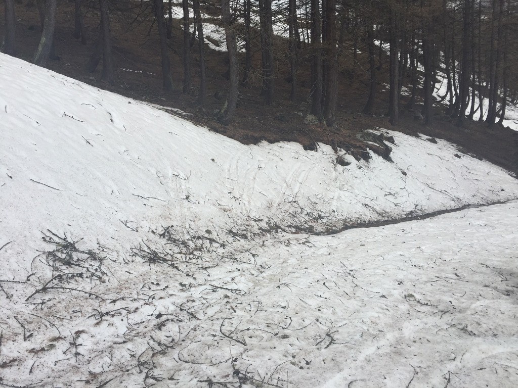 piste encore enneigée, on devine des traces de skis...