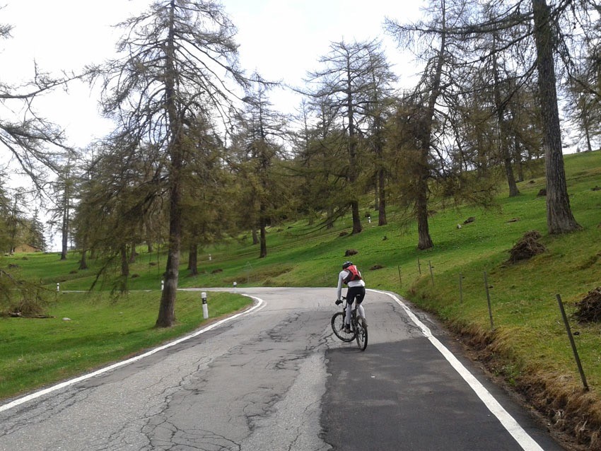 #10 Pas loin du col des Planches Pas loin du col des Planches