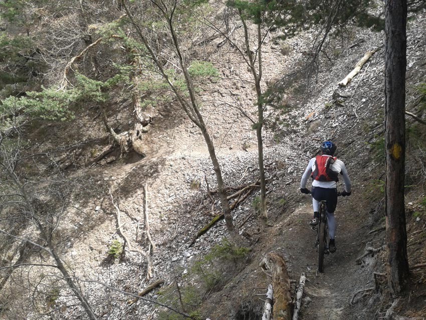 Descente bien sympa et longue