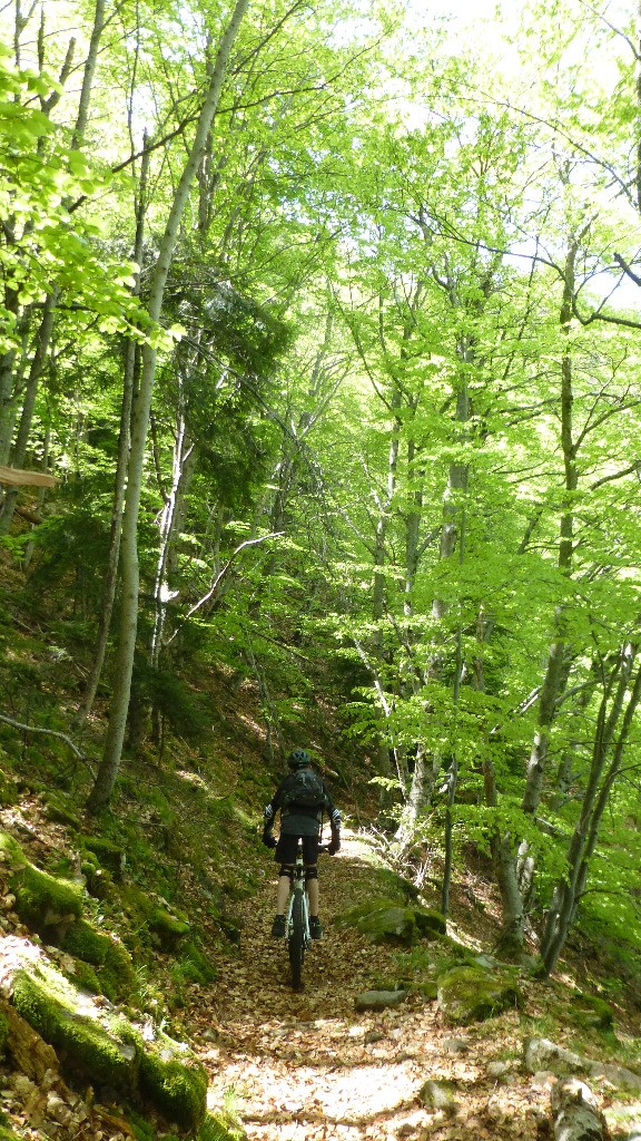 la descente sur Béasse commence vraiment
