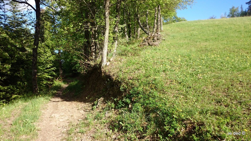 le début du sentier Aurouse balcon N