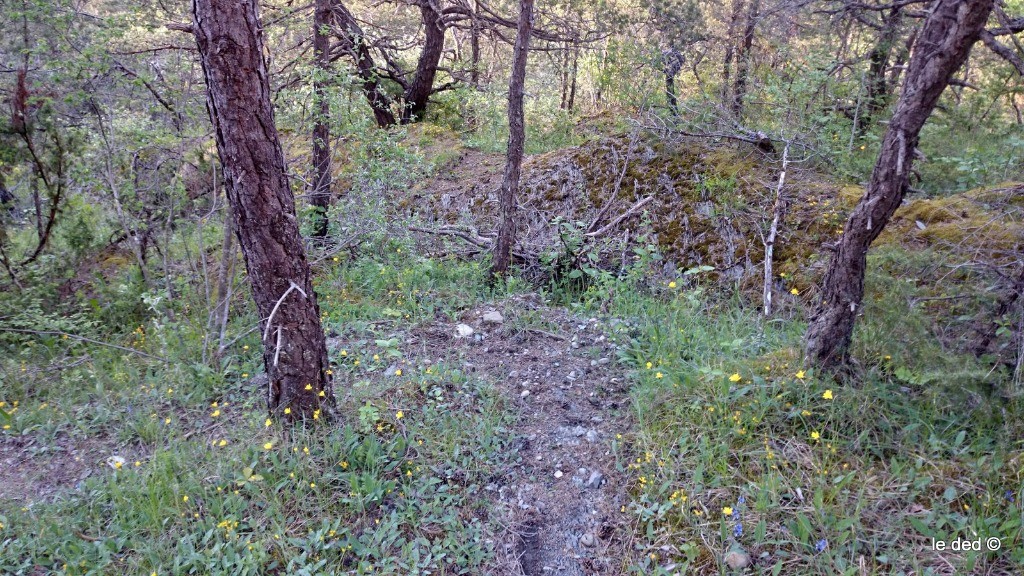 #9 plaine de la Chau, épingle plaine de la Chau, épingle