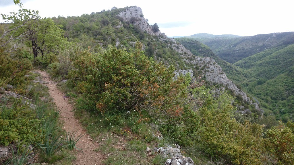 Arrivée sur le Causse par le sentier de Coste de Raganas