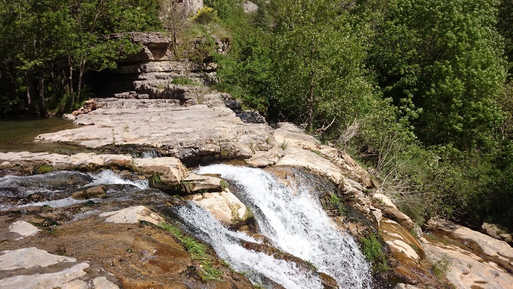 #8 cascade cascade