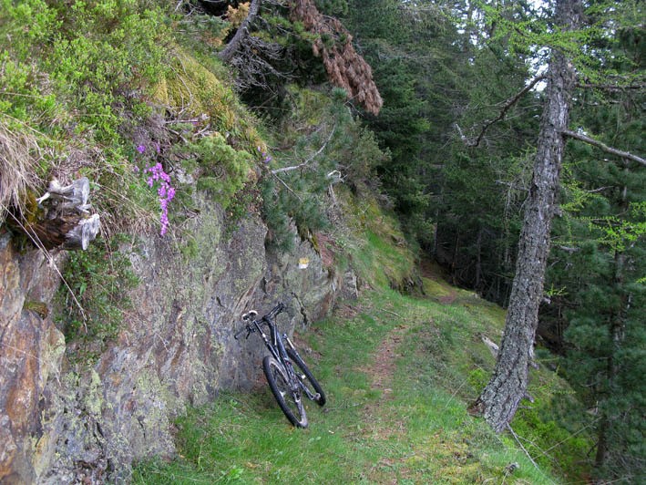 Partie en courbe de niveau du sentier