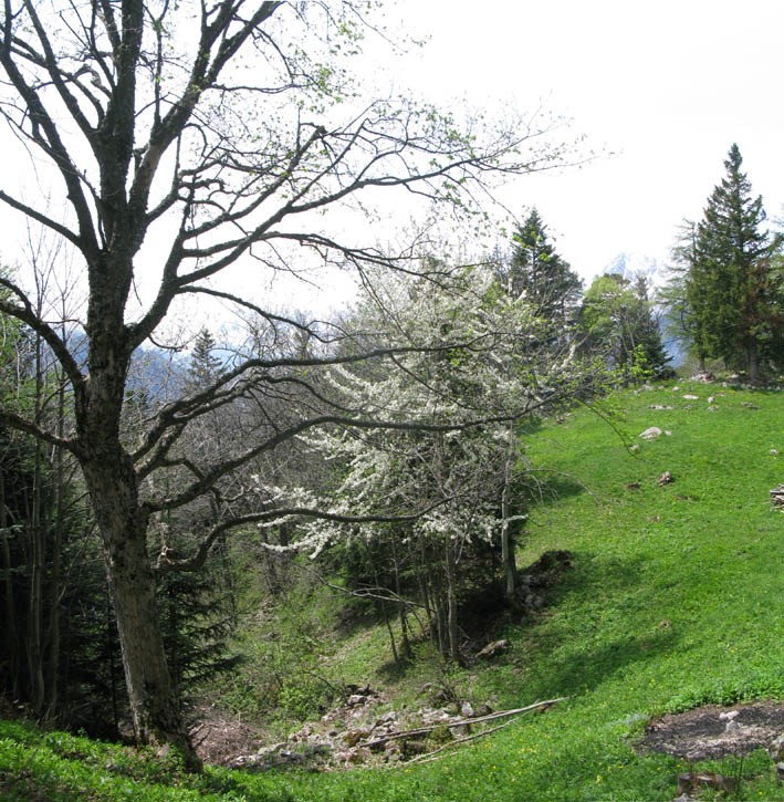 Sue le sentier des visions célestes