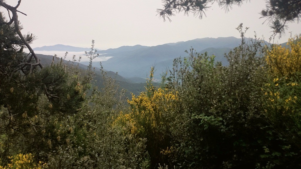 mer de nuages sur la vallée