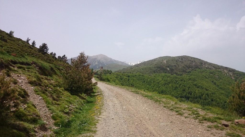 #9 tour et canigou tour et canigou