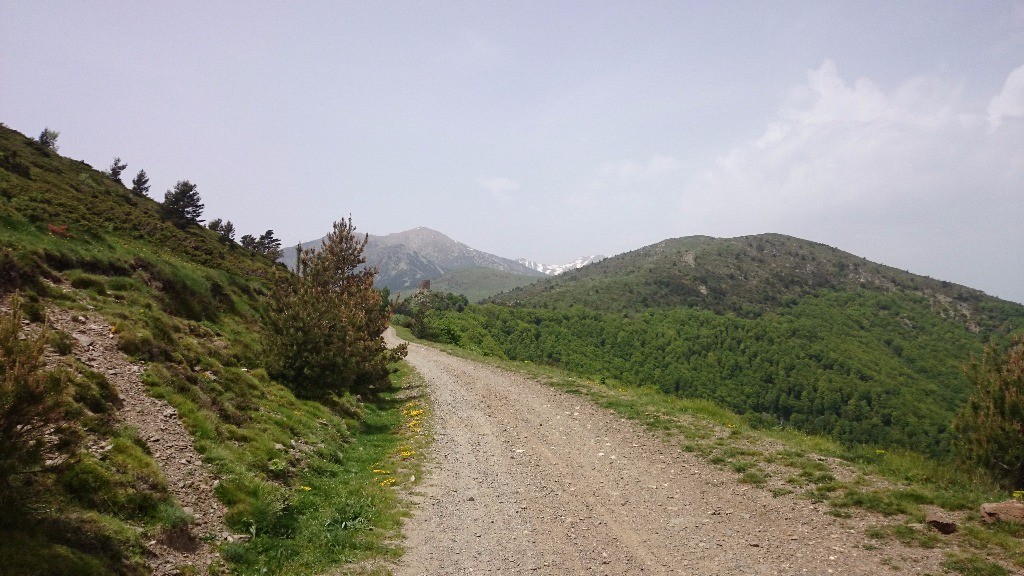 tour et canigou